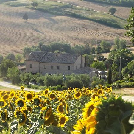 "La Casa Degli Ulivi Art B&B" Trecastelli Εξωτερικό φωτογραφία