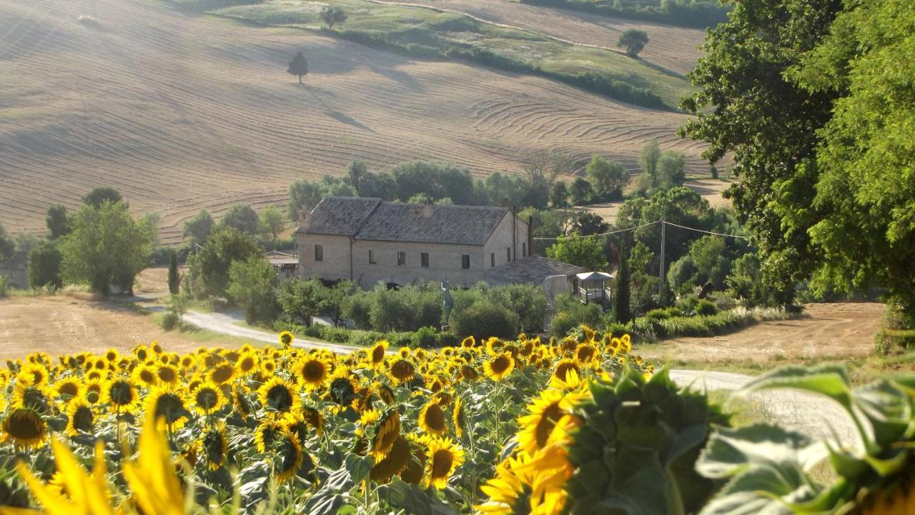 "La Casa Degli Ulivi Art B&B" Trecastelli Εξωτερικό φωτογραφία