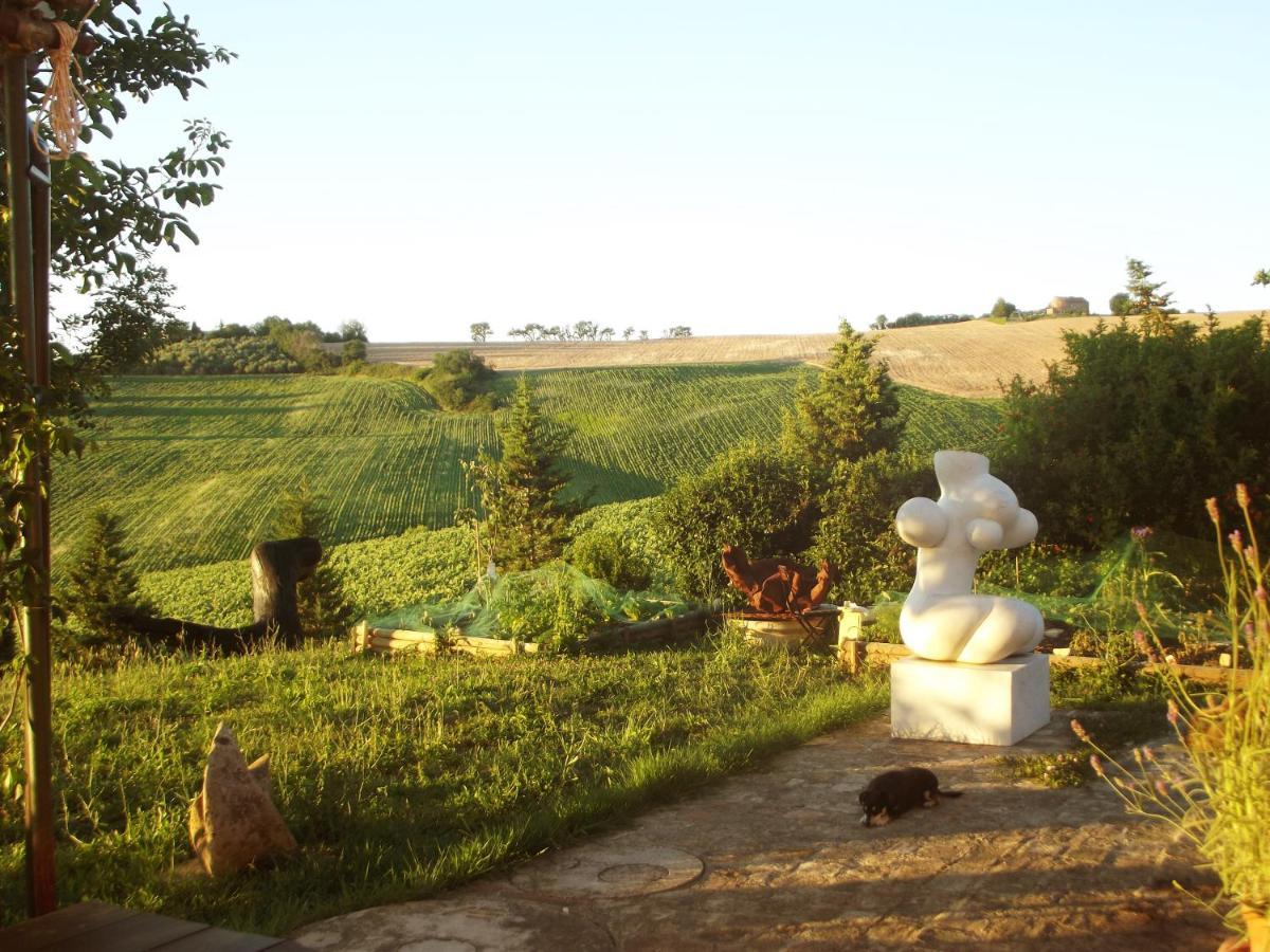 "La Casa Degli Ulivi Art B&B" Trecastelli Εξωτερικό φωτογραφία