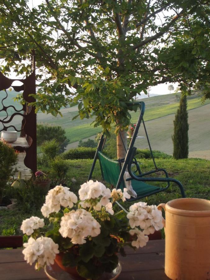 "La Casa Degli Ulivi Art B&B" Trecastelli Εξωτερικό φωτογραφία