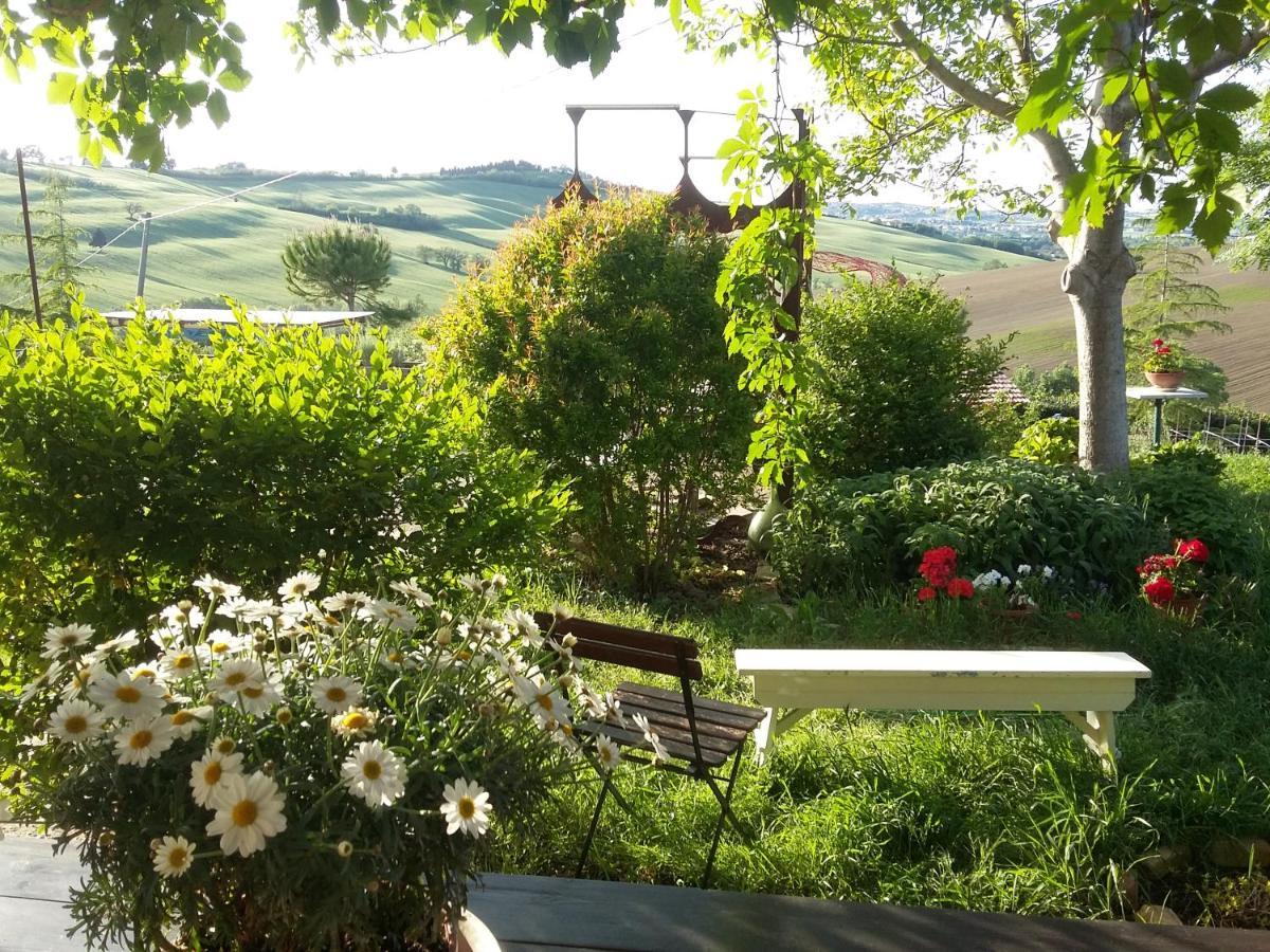 "La Casa Degli Ulivi Art B&B" Trecastelli Εξωτερικό φωτογραφία