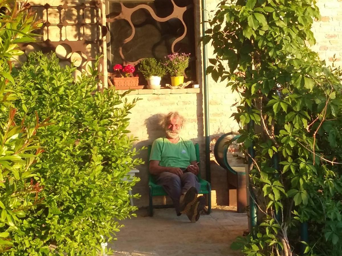 "La Casa Degli Ulivi Art B&B" Trecastelli Εξωτερικό φωτογραφία