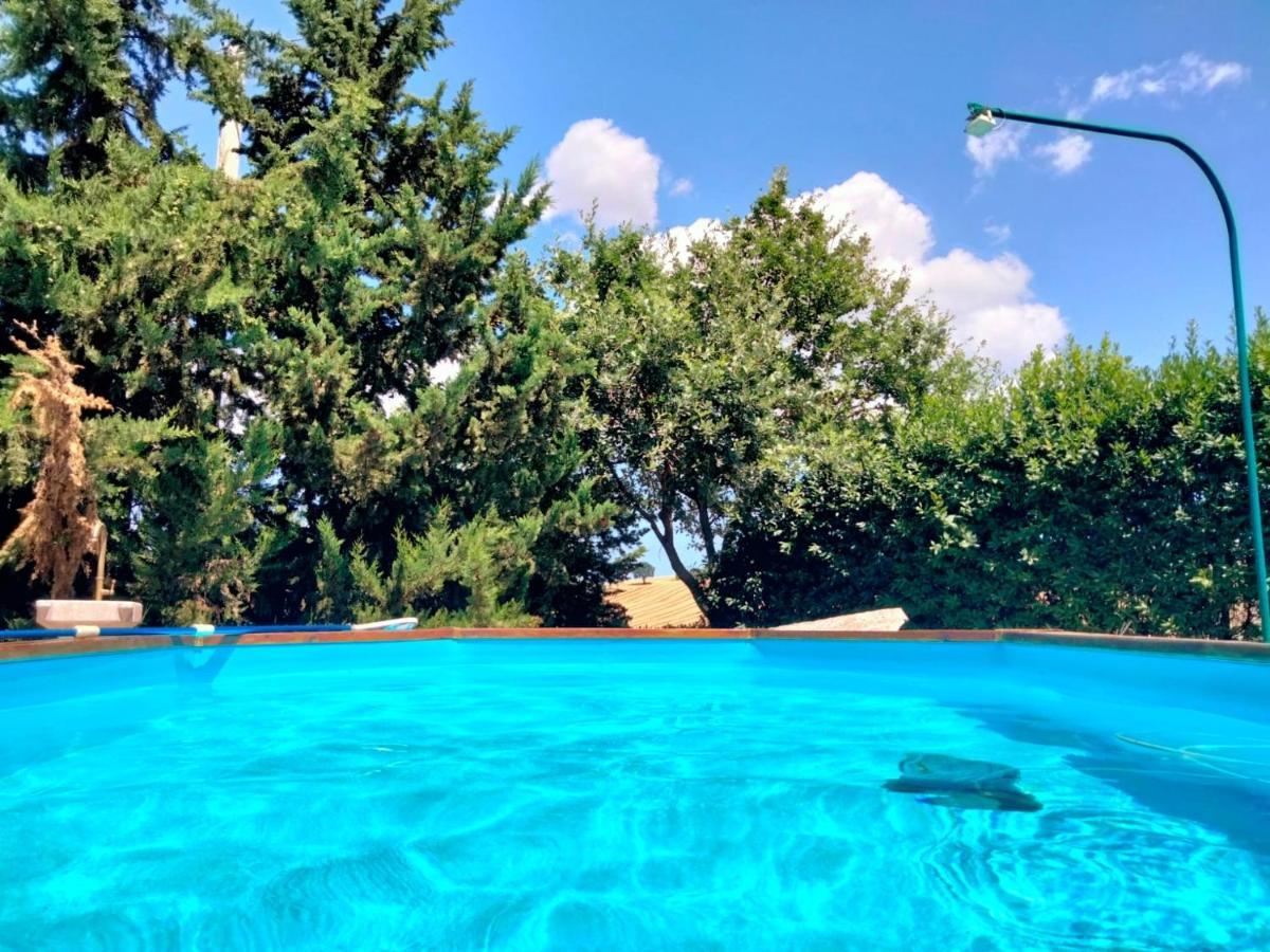 "La Casa Degli Ulivi Art B&B" Trecastelli Εξωτερικό φωτογραφία